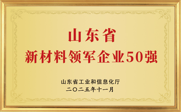 山东省新材料领军企业50强